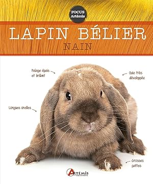 Bild des Verkufers fr LAPIN BELIER NAIN zum Verkauf von Dmons et Merveilles