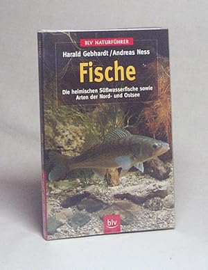 Immagine del venditore per Fische : die heimischen Swasserfische sowie Arten der Nord- und Ostsee / Harald Gebhardt/Andreas Ness venduto da Versandantiquariat Buchegger