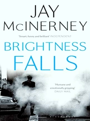 Immagine del venditore per Brightness Falls venduto da Collectors' Bookstore