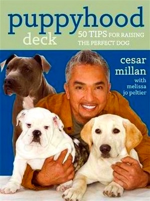Imagen del vendedor de Puppyhood Deck: 50 tips for raising the perfect dog a la venta por Collectors' Bookstore