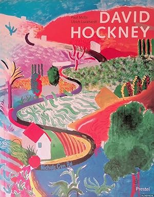 Image du vendeur pour David Hockney: Paintings (Art & Design S.) mis en vente par Klondyke