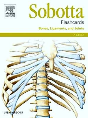 Imagen del vendedor de Sobotta Flashcards Bones, Ligaments, And Joints a la venta por Collectors' Bookstore