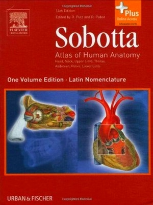 Seller image for Sobotta - Atlas of Human Anatomy English - Latin Single Volume Ed 14e for sale by Collectors' Bookstore