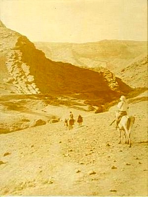 Immagine del venditore per Oriental Institute Publications: The Holmes Expedition to Luristan venduto da Collectors' Bookstore