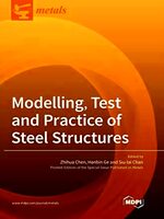 Immagine del venditore per Modelling, Test and Practice of Steel Structures venduto da Collectors' Bookstore