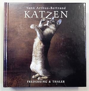 Image du vendeur pour Katzen. mis en vente par Antiquariat Martin Barbian & Grund GbR