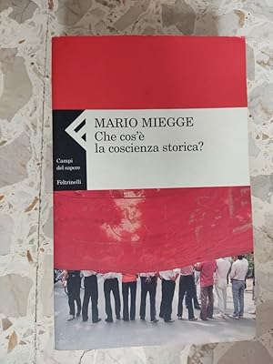 Image du vendeur pour Che cos' la coscienza storica? mis en vente par librisaggi