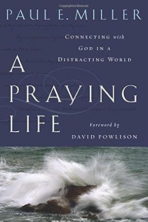 Bild des Verkufers fr A Praying Life: Connecting with God in a Distracting World zum Verkauf von WeBuyBooks