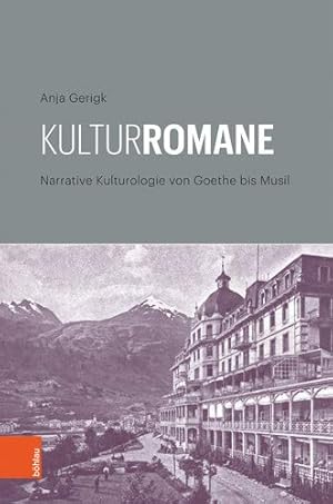 Bild des Verkufers fr Kulturromane - narrative Kulturologie von Goethe bis Musil. zum Verkauf von Antiquariat Buchseite