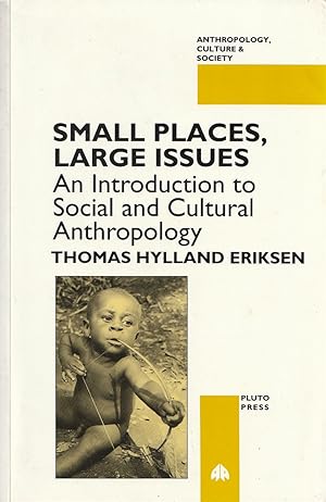Immagine del venditore per Small Places, Large Issues An Introduction to Social and Cultural Anthropology venduto da Haymes & Co. Bookdealers