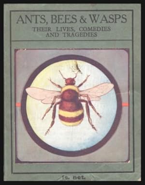 Imagen del vendedor de ANTS, BEES AND WASPS - Their Lives, Comedies and Tragedies a la venta por W. Fraser Sandercombe