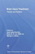 Seller image for Brain Injury Treatment for sale by Collectors' Bookstore