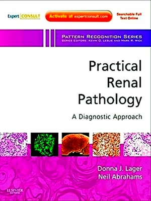 Immagine del venditore per Practical Renal Pathology, a Diagnostic Approach venduto da Collectors' Bookstore