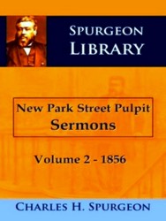 Bild des Verkufers fr New Park Street Pulpit Sermons 2 1856 zum Verkauf von Collectors' Bookstore