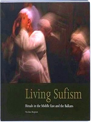 Image du vendeur pour Living Sufism mis en vente par Collectors' Bookstore