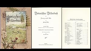 Bild des Verkufers fr Botanisches Bilderbuch fr Jung und Alt. 2. Teil. Umfassend die Flora der zweiten Jahreshlfte. (Originalausgabe ca. 1910) zum Verkauf von Libro-Colonia (Preise inkl. MwSt.)