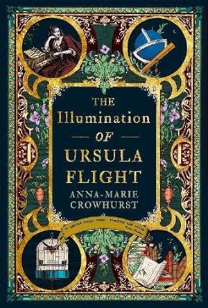 Bild des Verkufers fr The Illumination of Ursula Flight zum Verkauf von WeBuyBooks