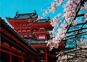 Postkarte Carte Postale 73944971 Kyoto Japan Heian Shrine Baumbluete