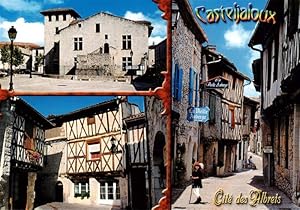 Postkarte Carte Postale 13947536 Casteljaloux 47 Lot-et-Garonne Vues partielles de la vieille vil...