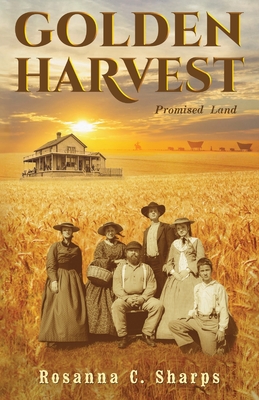 Seller image for Promised Land (Paperback or Softback) for sale by BargainBookStores