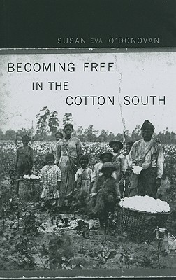 Immagine del venditore per Becoming Free in the Cotton South (Paperback or Softback) venduto da BargainBookStores