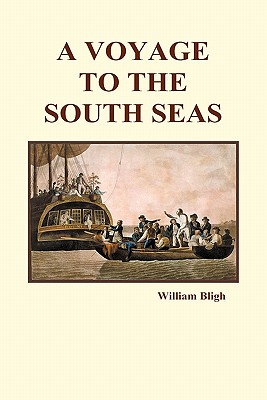 Seller image for A Voyage to the South Seas (Hardback) (Hardback or Cased Book) for sale by BargainBookStores