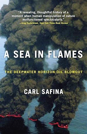 Bild des Verkufers fr A Sea in Flames: The Deepwater Horizon Oil Blowout zum Verkauf von moluna