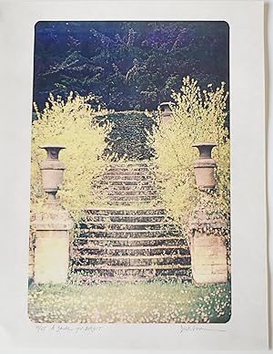 A Garden for Birgit xerox, 10/25 copies