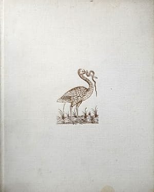 The Bird Illustrated, 1550-1900: From The Collections Of The New York Public Library