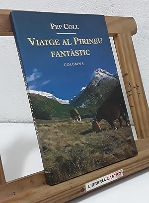 Viatge al Pirineu Fantàstic