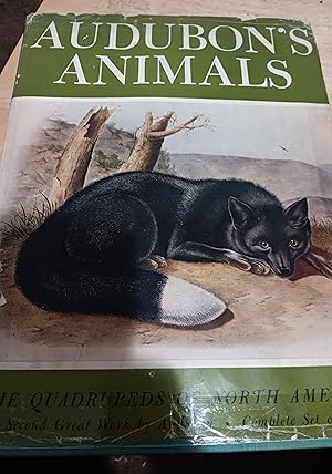 Seller image for Audubon's Animals the Quadrupeds of North America for sale by Fantastic Book Discoveries