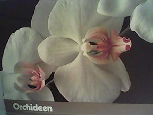 Seller image for Orchideen for sale by ANTIQUARIAT FRDEBUCH Inh.Michael Simon