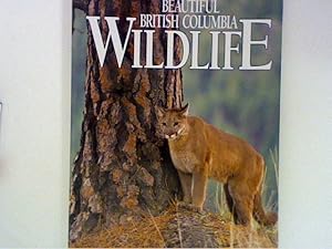 Seller image for Beautiful British Columbia Wildlife. A Living Landscape for sale by ANTIQUARIAT FRDEBUCH Inh.Michael Simon