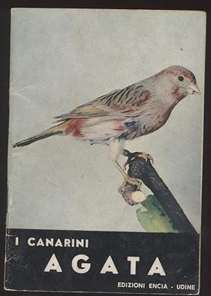 I canarini agata - Piccola collana dell'allevatore n. 13