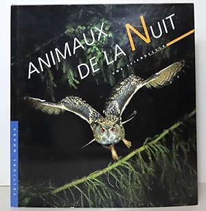 Animaux de la nuit.