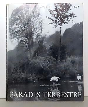 Paradis terrestre.