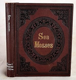 Sea Mosses: Victorian-Era Seaweed Specimen Book (Connecticut 1883)