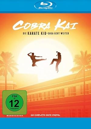 Cobra Kai Season 1