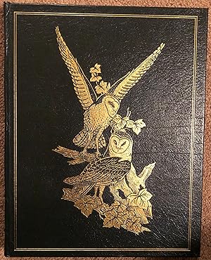 Image du vendeur pour Roger Tory Peterson: The Art and Photography of the World's Foremost Birder mis en vente par Burke's Books