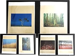 Six Color Photographs by Hawaiian Photographer Richard A. Cooke III of Island Nature from the Isl...