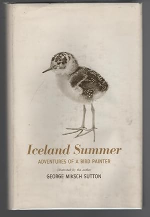 Iceland Summer: Adventures of a Bird Painter
