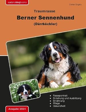 Bild des Verkufers fr Traumrasse Berner Sennenhund : (Drrbchler) zum Verkauf von AHA-BUCH GmbH