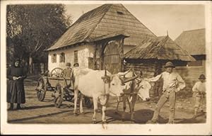 Foto Ansichtskarte / Postkarte Fuhrwerk, Kühe, Bauern, Straßenpartie, Wohnhaus