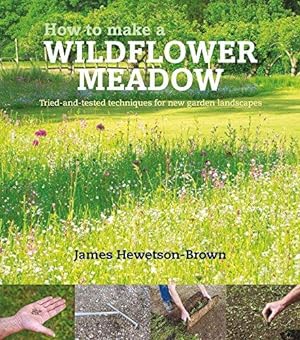 Seller image for How to Make a Wildflower Meadow: Tried-And-Tested Techniques That Really Work: Tried-And-Tested Techniques for New Garden Landscapes for sale by WeBuyBooks