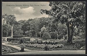 Ansichtskarte Peradeniya /Ceylon, Peradeniya Gardens, showing Palm House