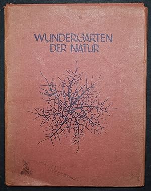 Bild des Verkufers fr Wundergarten der Natur. Neue Bilddokumentation schner Pflanzenformen. zum Verkauf von Antiquariat Haufe & Lutz