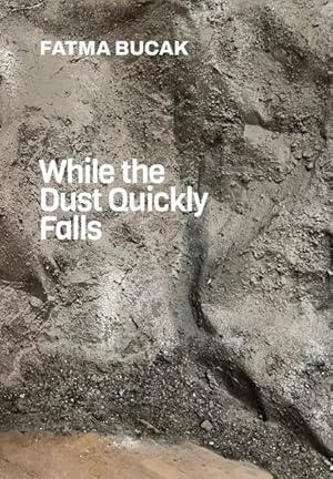 Immagine del venditore per While the Dust Quickly Falls venduto da GreatBookPricesUK