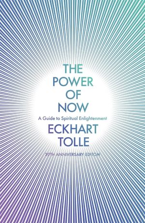 Seller image for The Power of Now: (20th Anniversary Edition) for sale by Gabis Bücherlager