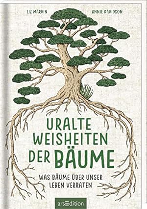 Uralte Weisheiten der Bäume: Was Bäume über unser Leben verraten