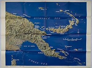 [New Guinea] Newsmap for the Armed Forces. 225th Week of the War - 107th Week of U.S. Participati...